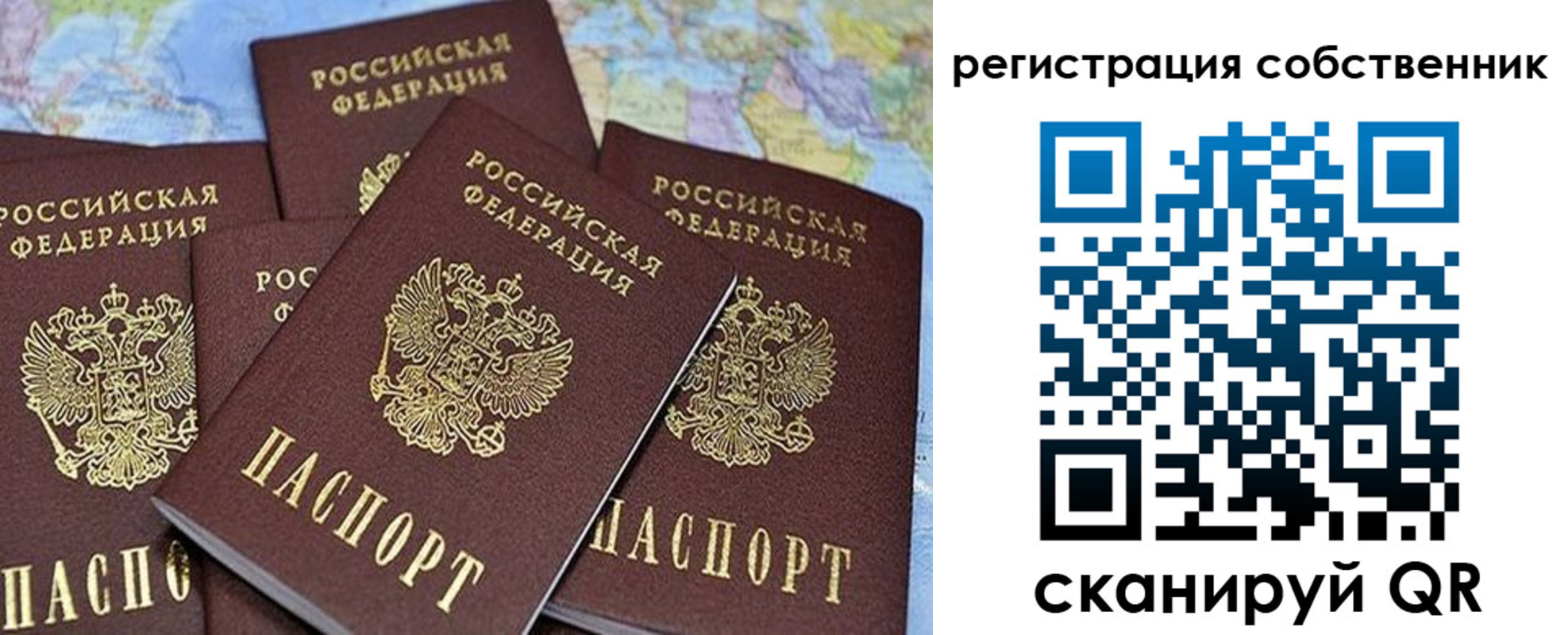 прописка для школы в Катайске